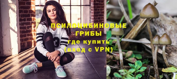 каннабис Арсеньев