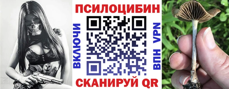Псилоцибиновые грибы GOLDEN TEACHER  Купить где  Верхняя Тура 